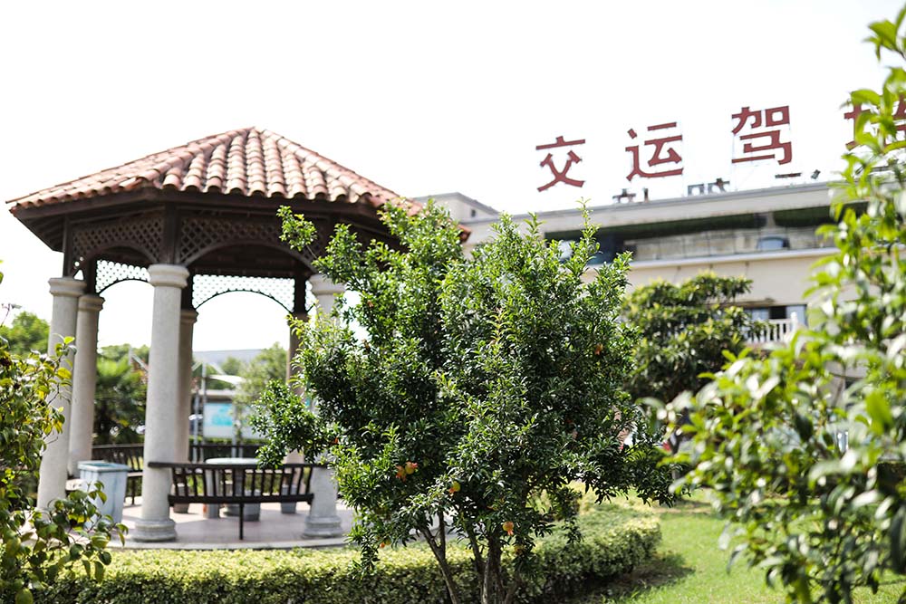 简报25期·学车指南|春暖花开学车季，五大校区等你来！